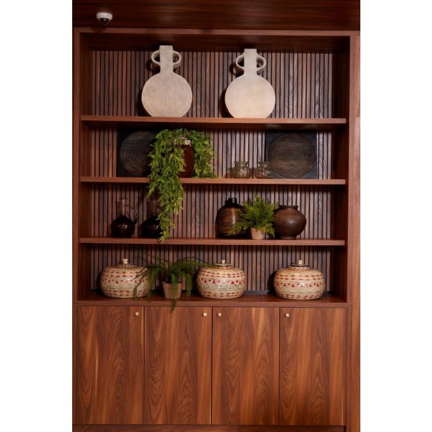 Fern nephrolepis bush 50cm in tc pot aged