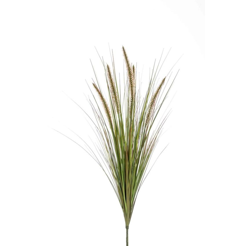Pennisetum bush 68cm