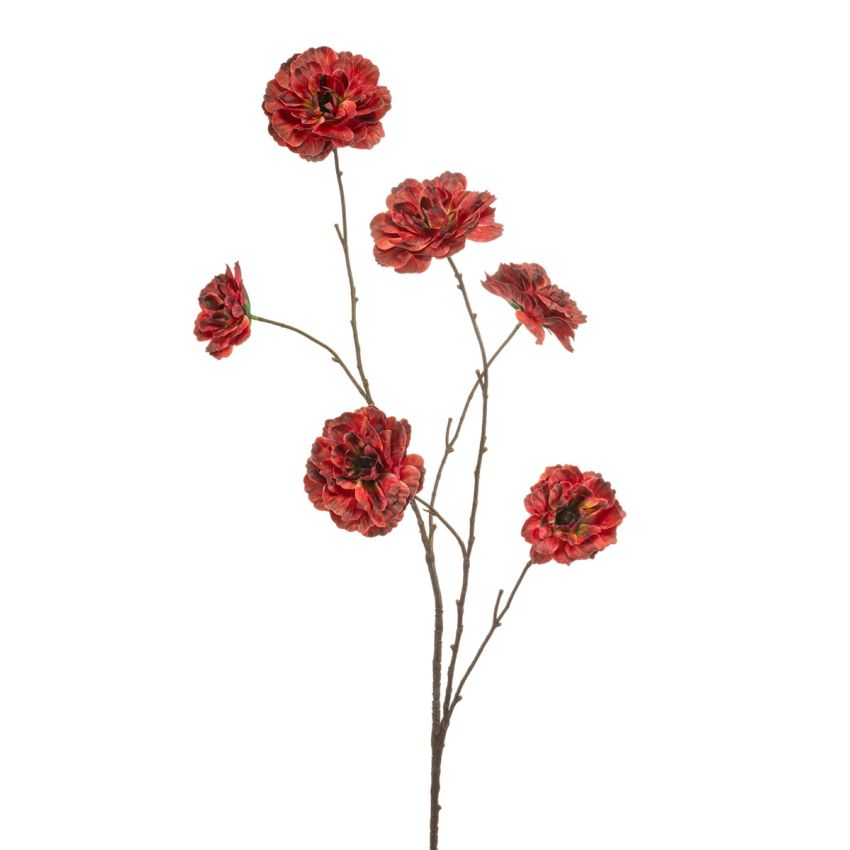Ranunculus spray red 110cm