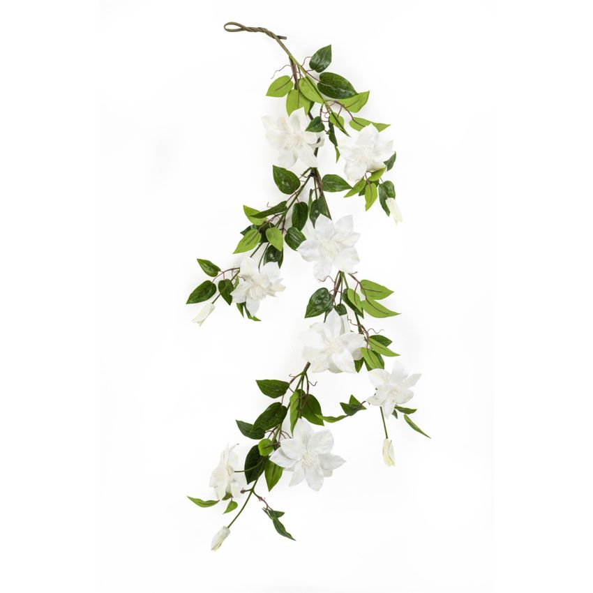 Clematis garland white 110cm
