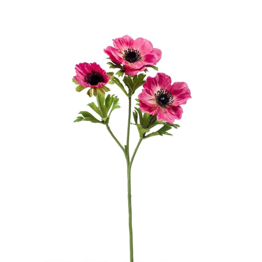 Anemone spray pink 55cm