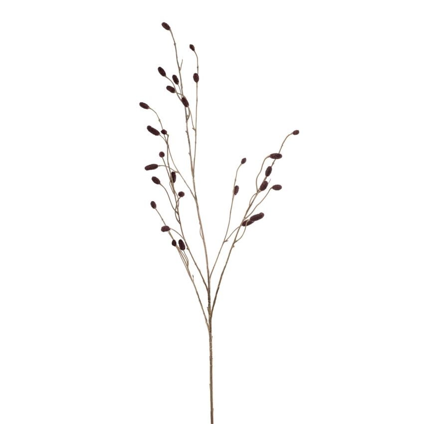 Sanguisorba spray burgundy 105cm