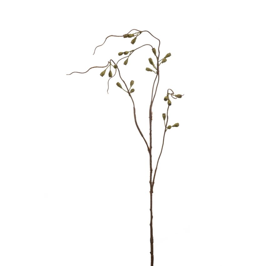 Eucalyptus seed spray green 90cm