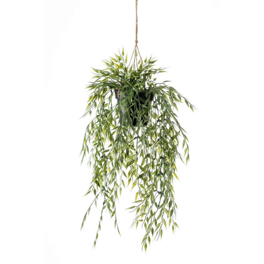 Bamboo hanging in pot 65cm