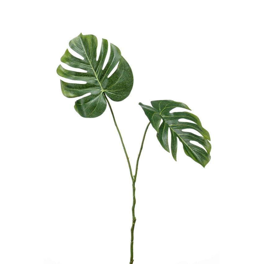 Monstera leaf spray 50cm
