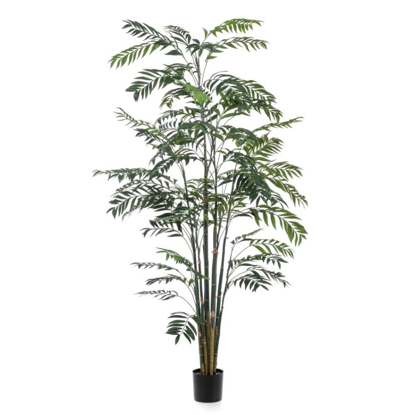 Palm bamboo 245cm (knock down packing)