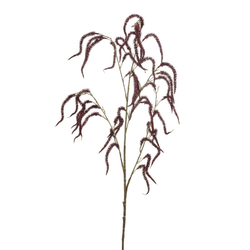 Amaranthus spray burgundy 100cm