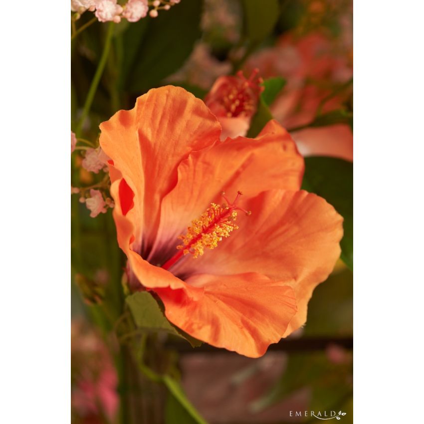 Hibiscus spray orange 65cm