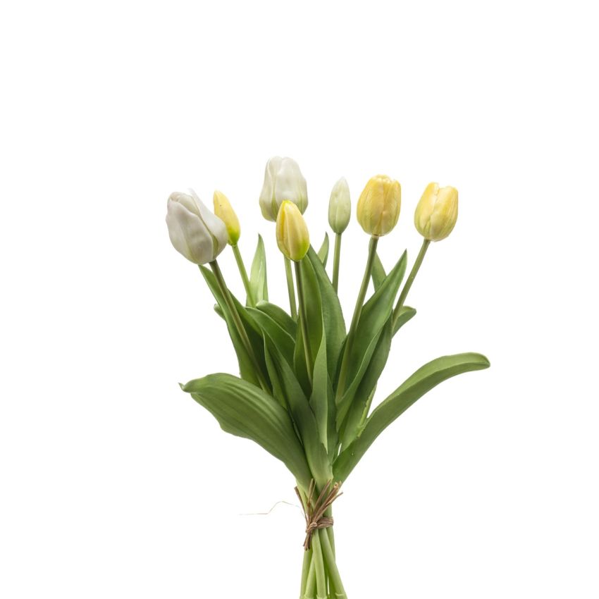 Tulip bundle x7 white/yellow 40cm