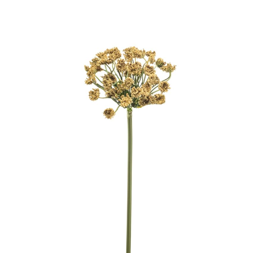 Dill spray lt brown 55cm