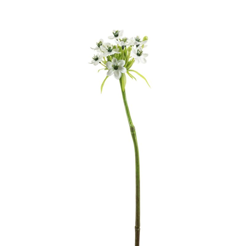 Ornithogalum spray white 63cm