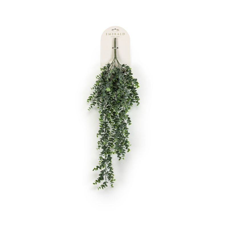 Eucalyptus hanging bush 75cm