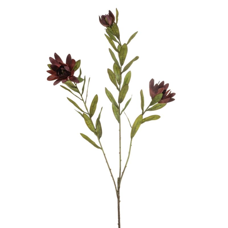 Protea spray burgundy 100cm