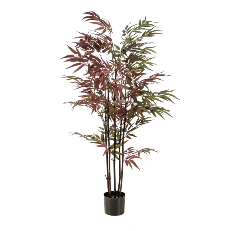 Bamboo green/burgundy 130cm