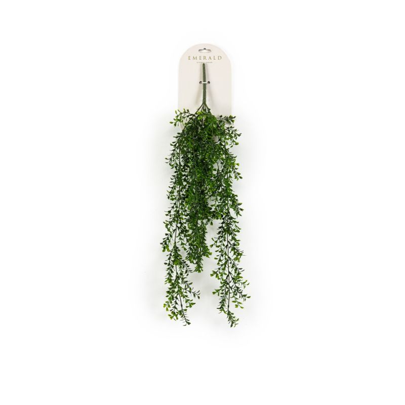 Boxwood hanging bush 75cm