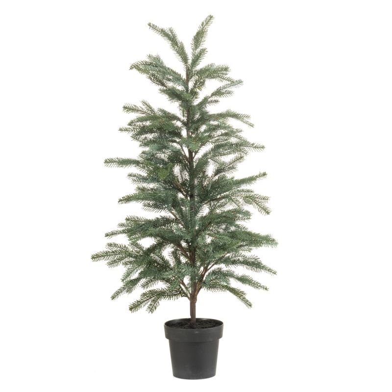 Picea tree in pot 120cm