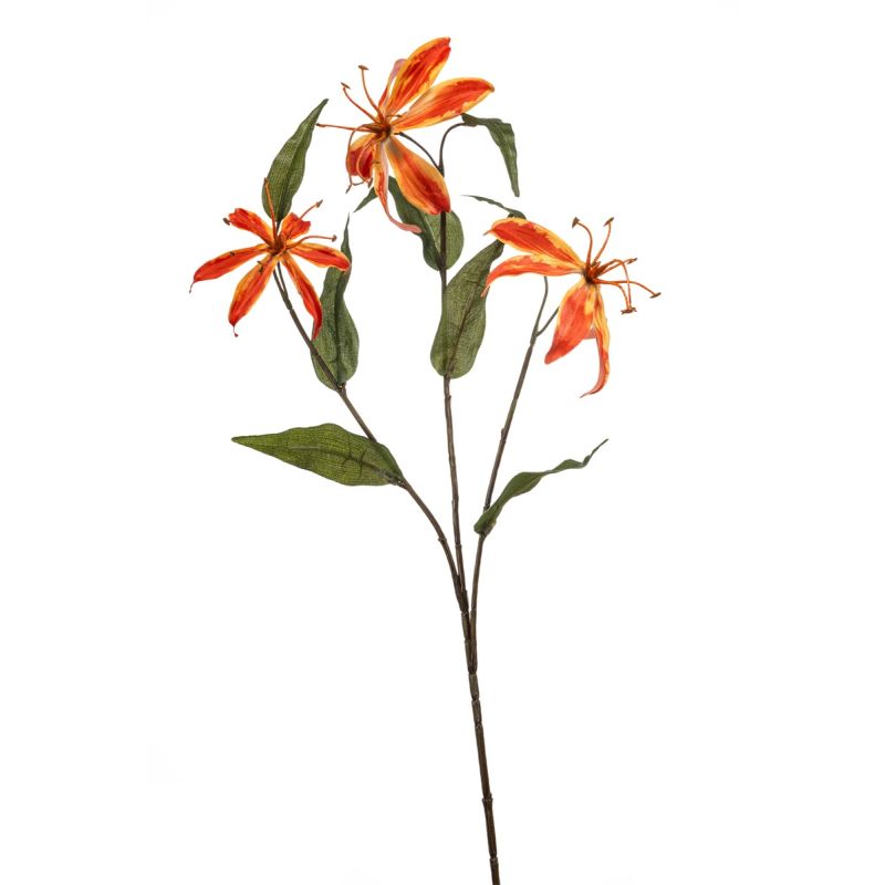 Gloriosa spray orange 80cm