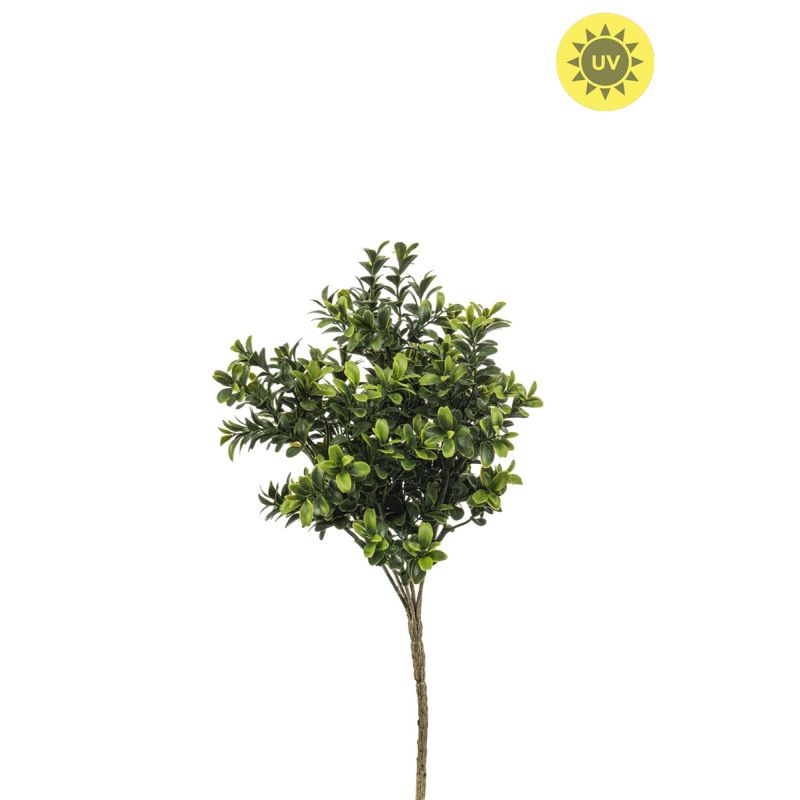 Buxus bush UV 30cm