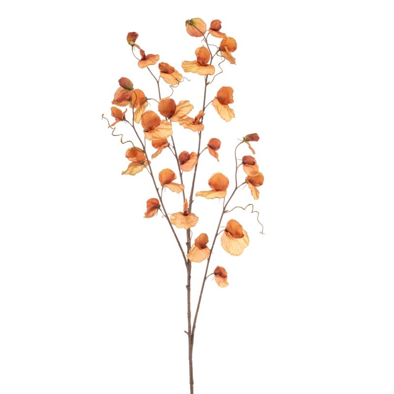 Lathyrus spray x4 dk orange 110cm