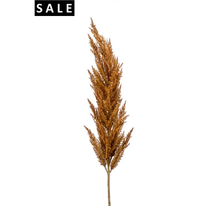 Pampas grass spray rust 115cm