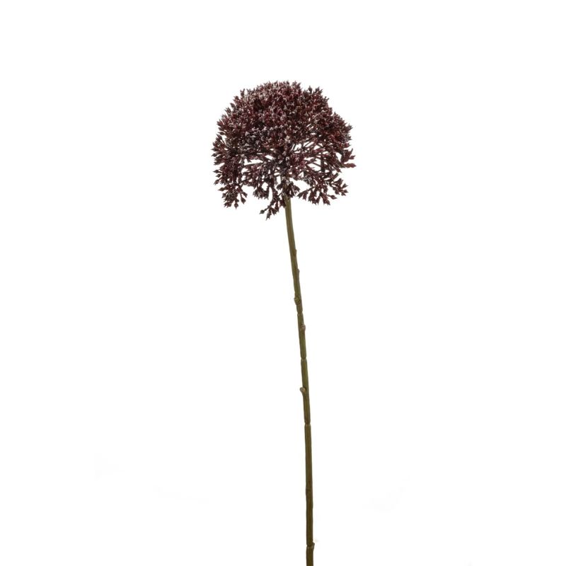 Allium spray burgundy 63cm