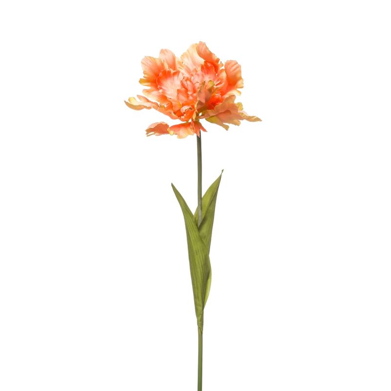 Tulip parrot spray orange 68cm