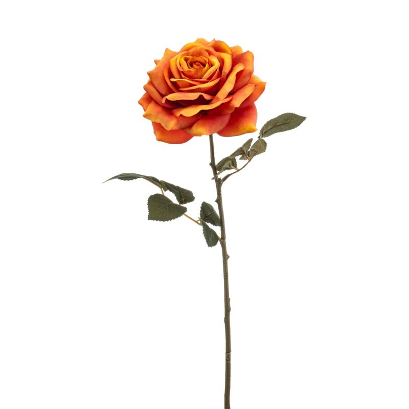 Rose sofie spray orange 55cm