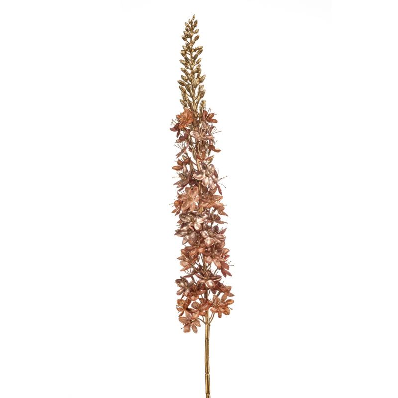 Eremurus spray brown/bronze 110cm