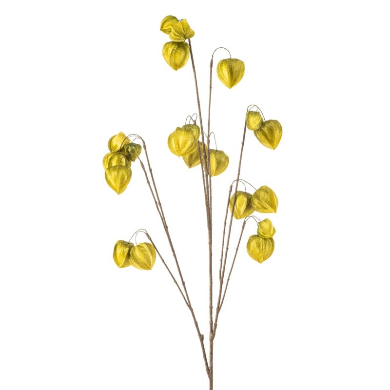 Physalis spray x10 green 110cm