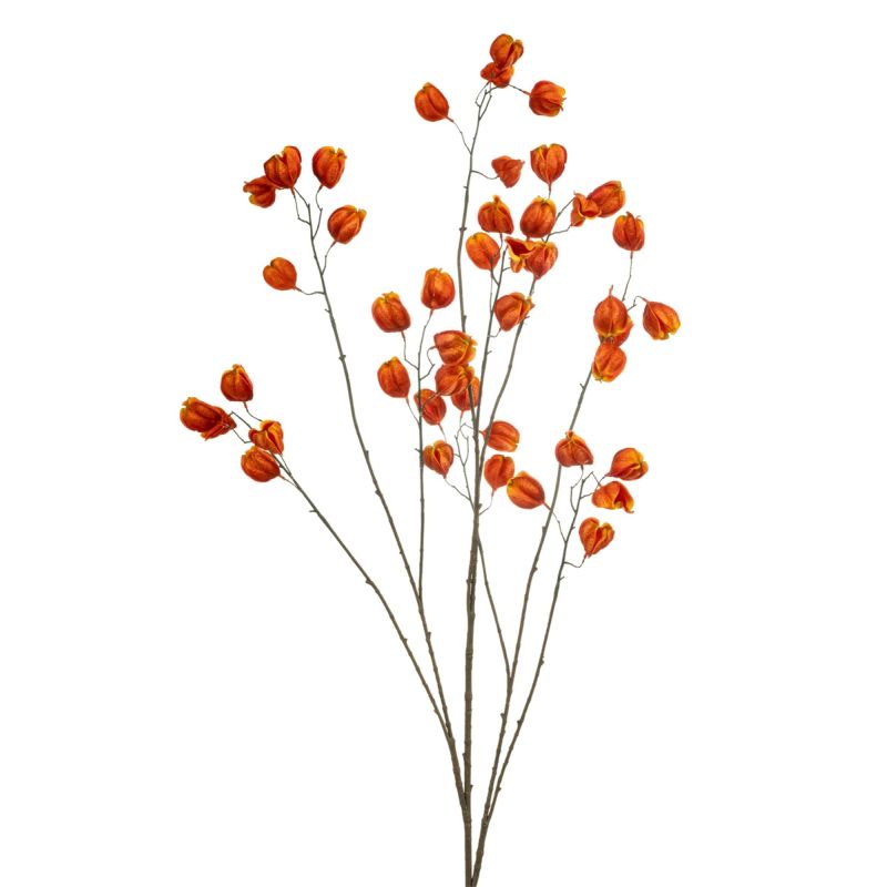 Physalis spray orange 135cm