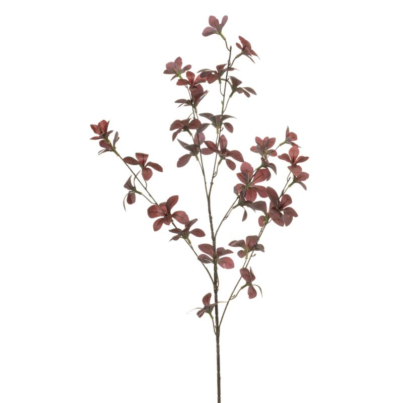 Tropaeolum spray burgundy 85cm