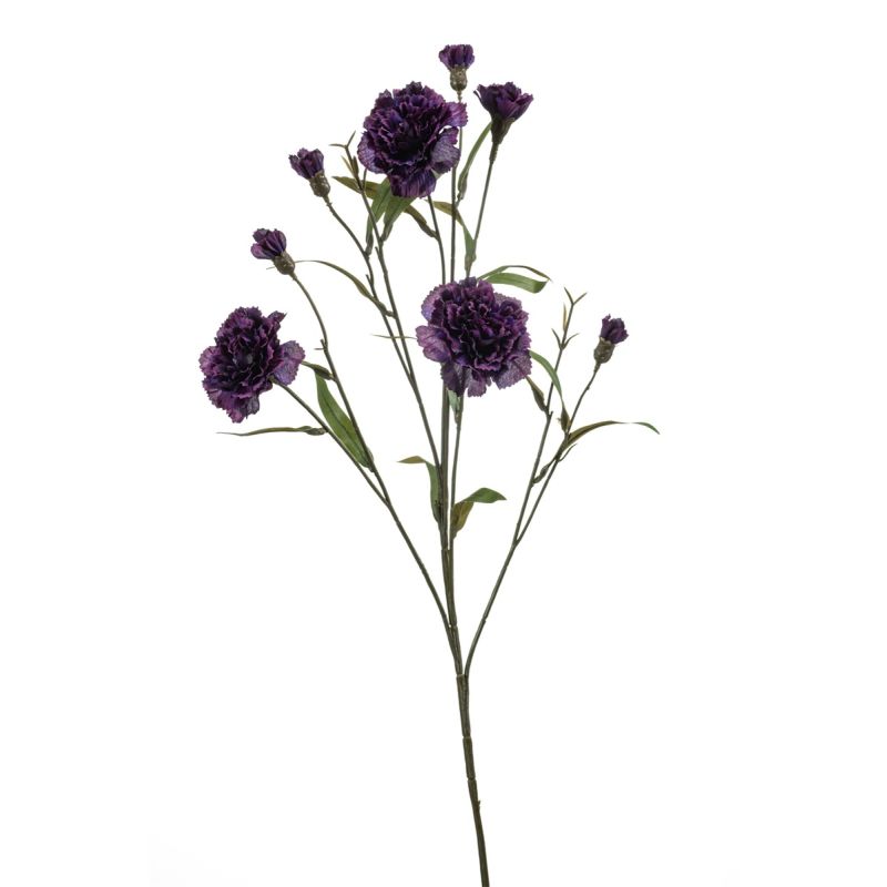 Dianthus spray purple 70cm
