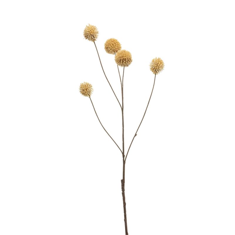 Eryngium spray beige 70cm