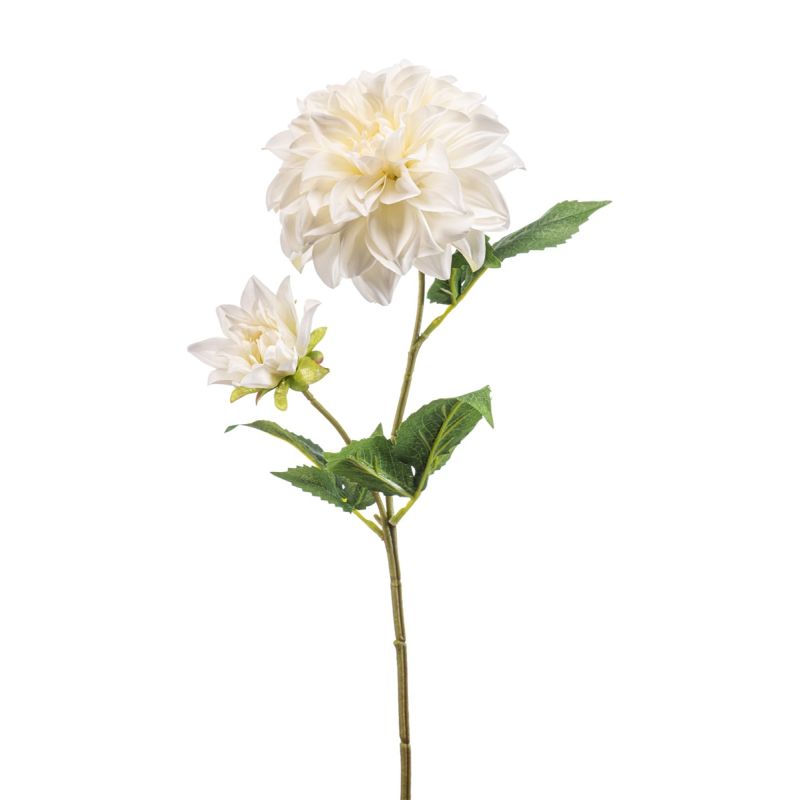Dahlia w bud spray cream 60cm
