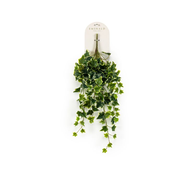 Ivy hanging bush green/white 70cm