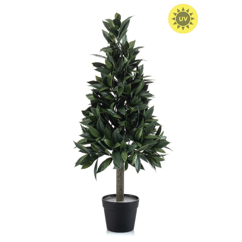 Laurel pyramid UV in pot 90cm