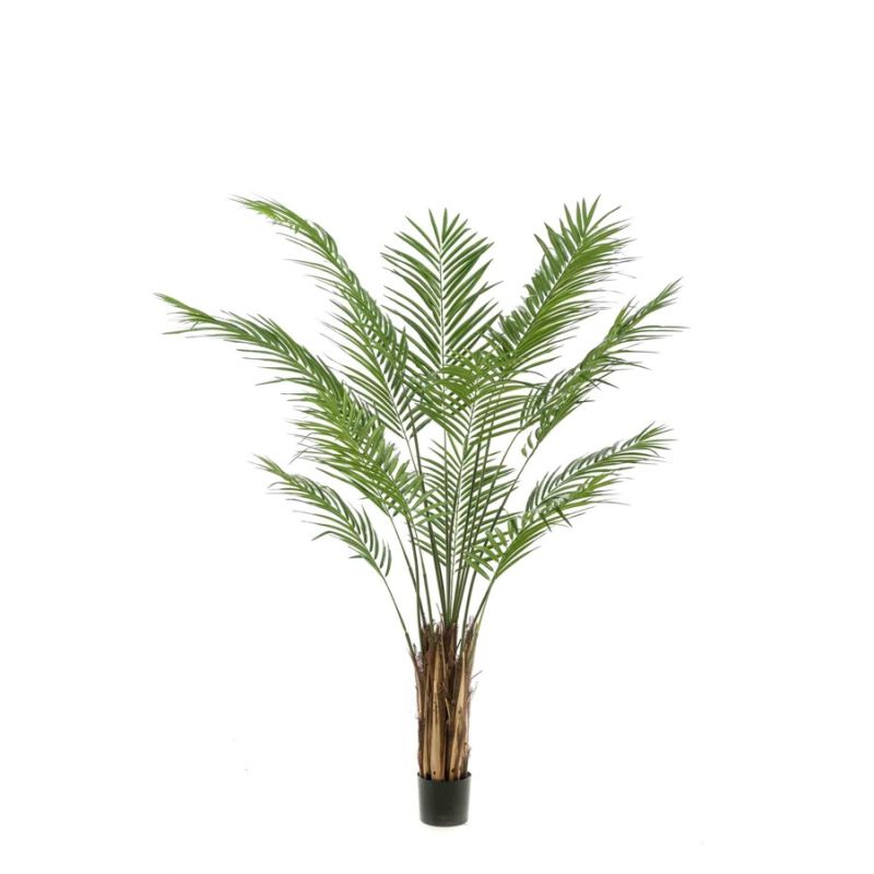 Palm areca 180cm (knock down packing)