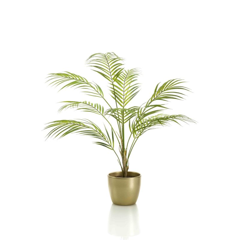 Palm chamaedorea green 75cm in pearlgold pot