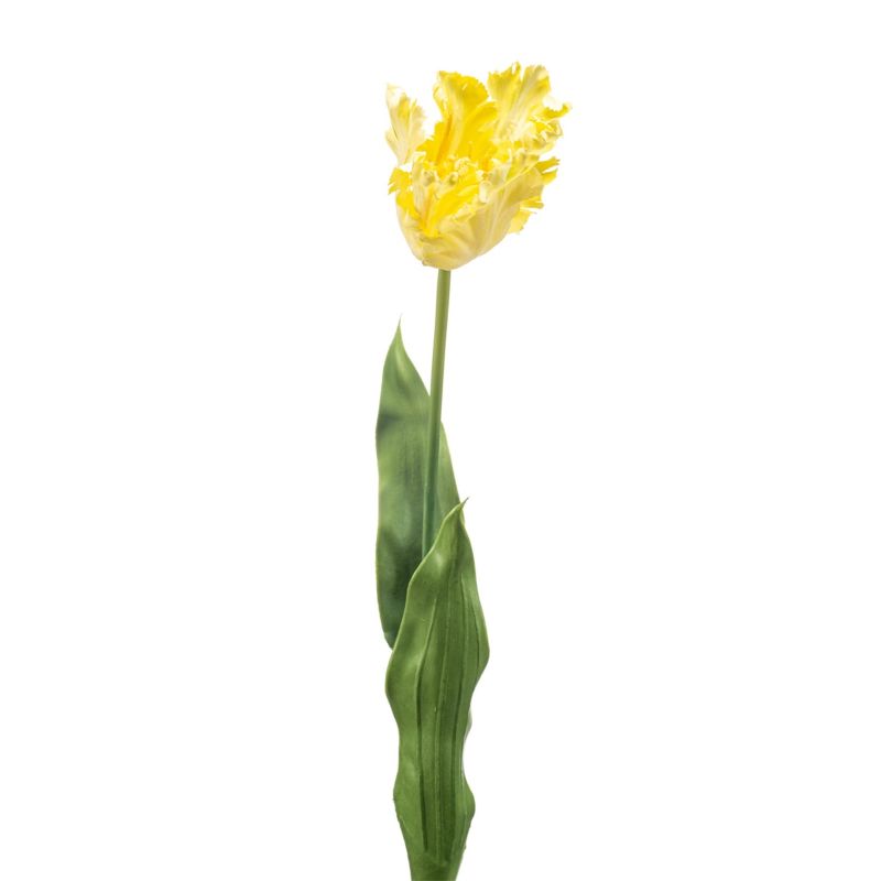 Tulip parrot spray lt yellow 68cm