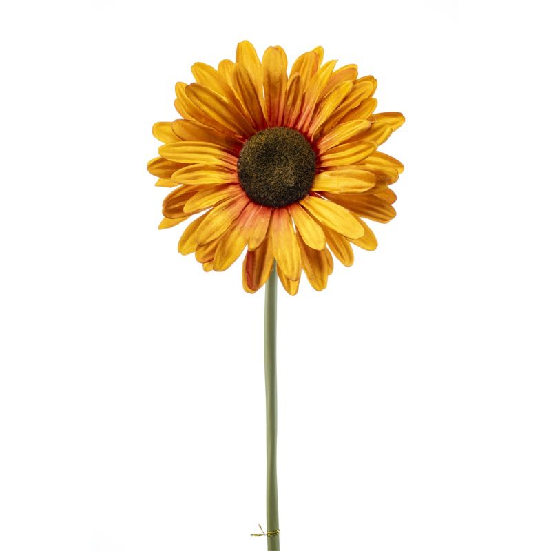 Gerbera stem XL orange 90cm (knock down packing)