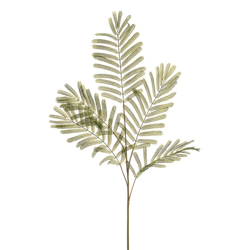 Mimosa lvs spray green 110cm