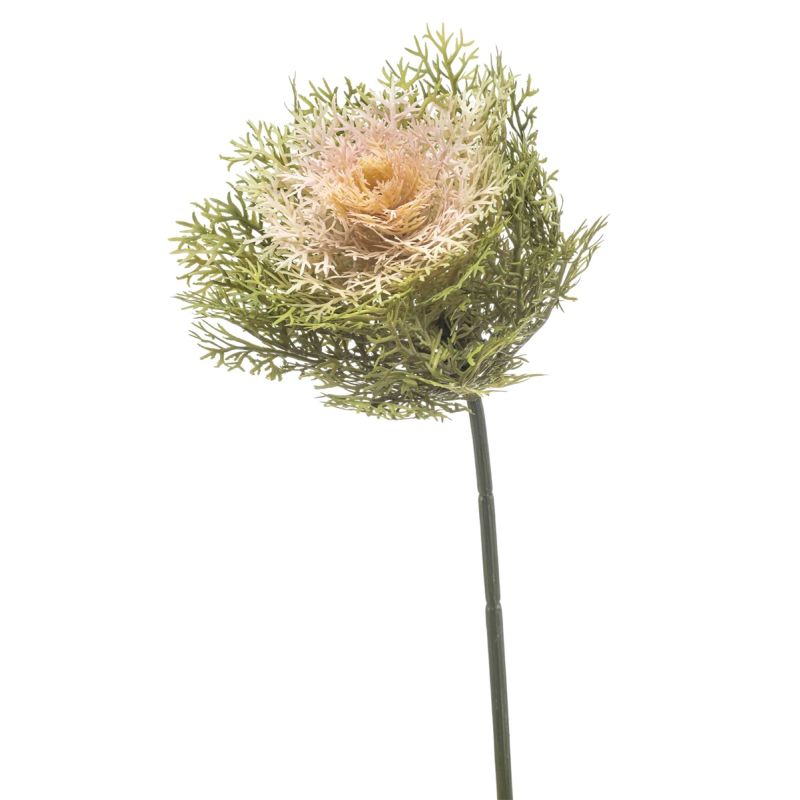 Cole spray green/lt pink 65cm