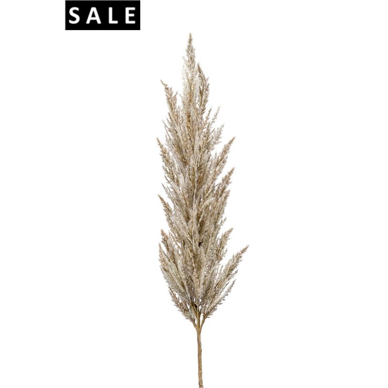 Pampas grass spray cream 115cm