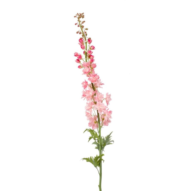 Delphinium XL spray pink 130cm