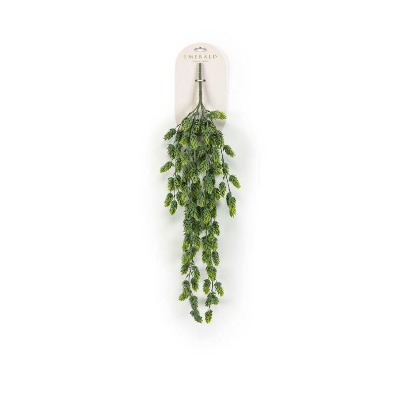 Hop hanging bush 70cm
