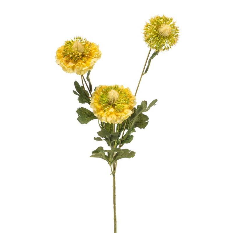 Scabiosa spray RT yellow 78cm