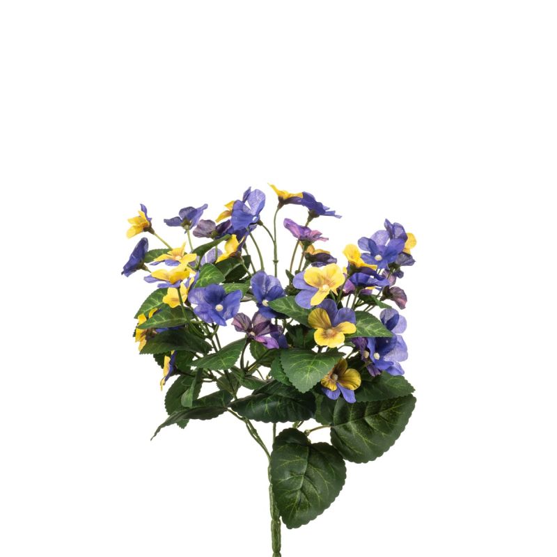 Pansy bush yellow/blue 30cm