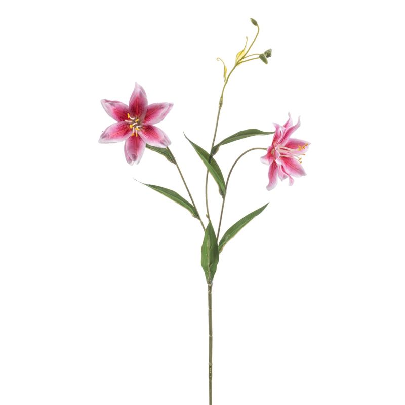Lily wild spray pink 70cm