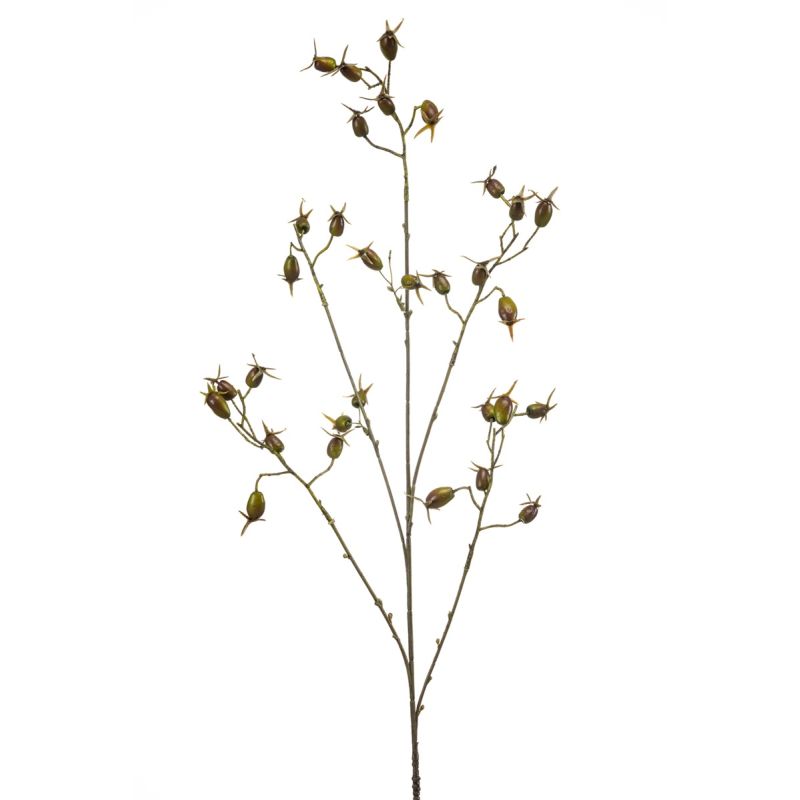 Rosehip spray green 90cm
