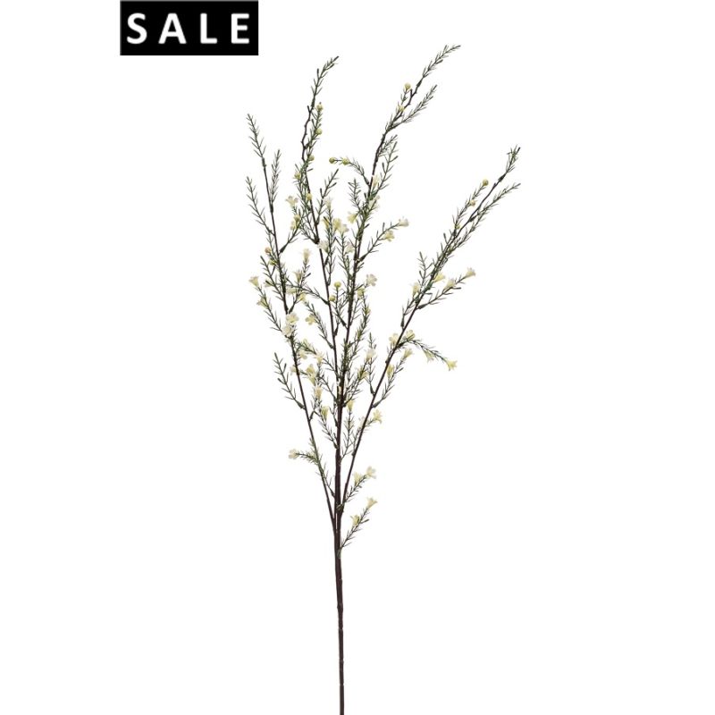 Rosemary spray x5 cream 115cm